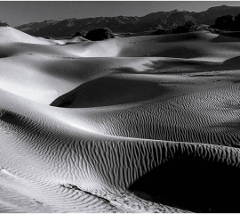 Reclining Dune 2007, Gelatin silver print